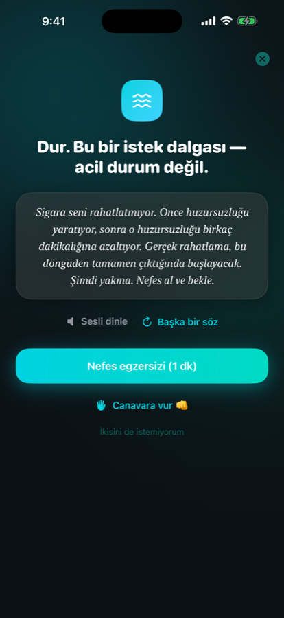 Kriz anı